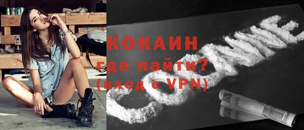 гидра Бронницы