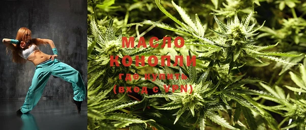гидра Бронницы