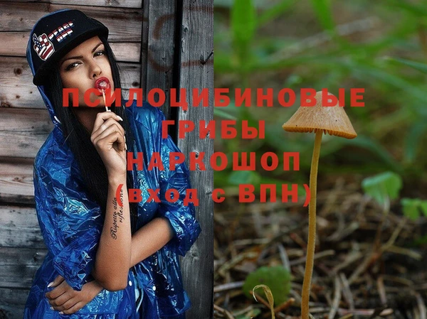 винт Бугульма