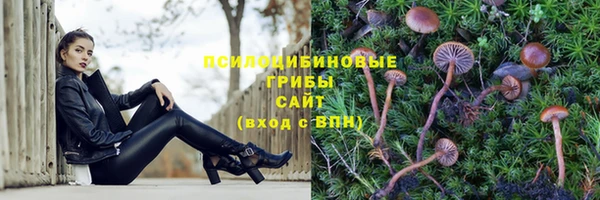 гидра Бронницы