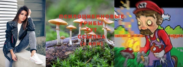 а пвп мука Бородино