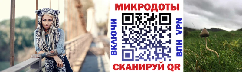 дарнет шоп  Монино  Псилоцибиновые грибы MAGIC MUSHROOMS 